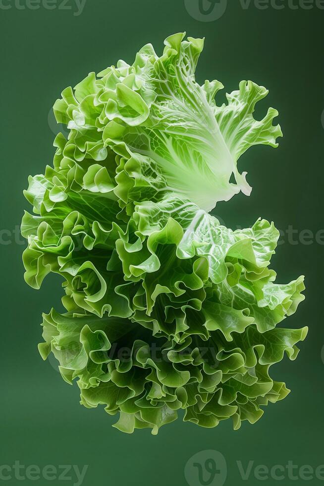Artistic lettuce with a reflective symmetry, creating a visual feast on a green canvas photo