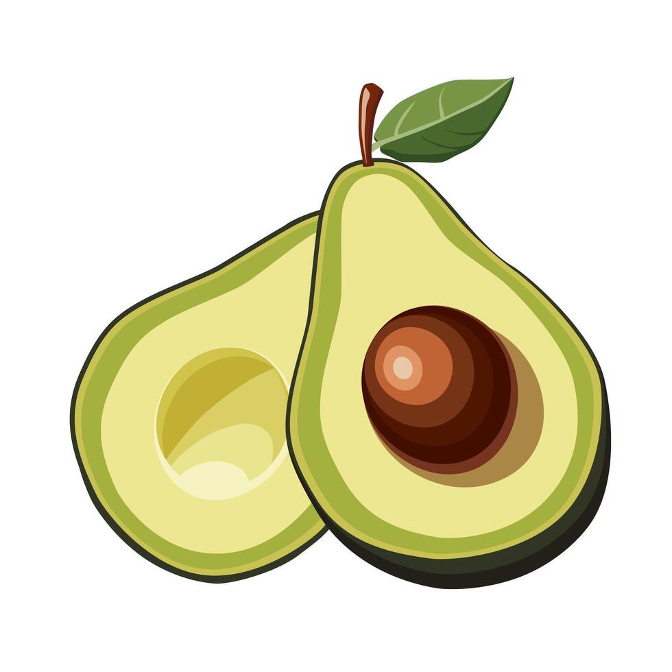 Fresh half cut green seedless avocado with leaf isolated on white background. Side view clipart. Food illustration in flat style. Summer clipart for design of card, banner, flyer, poster for party vector