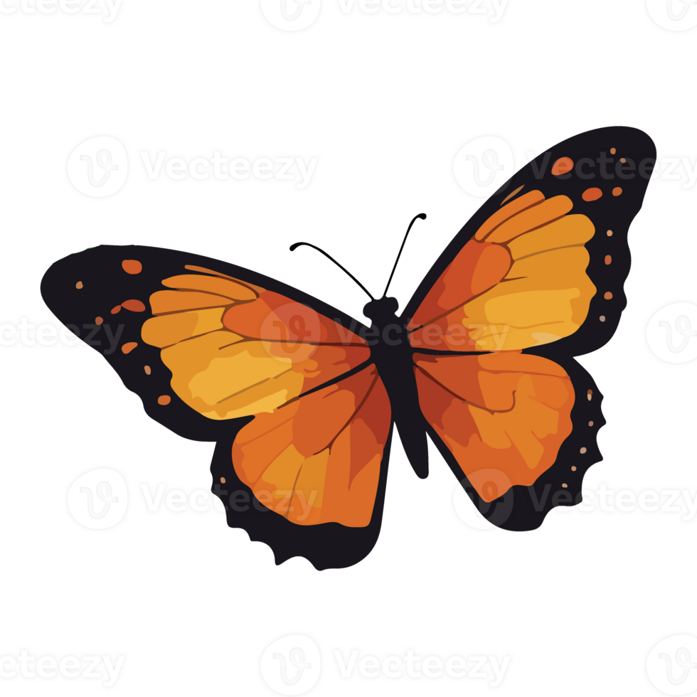 Butterfly animated illustration design images png
