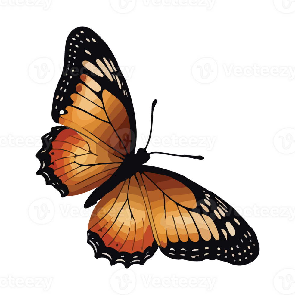 Butterfly animated illustration design images png
