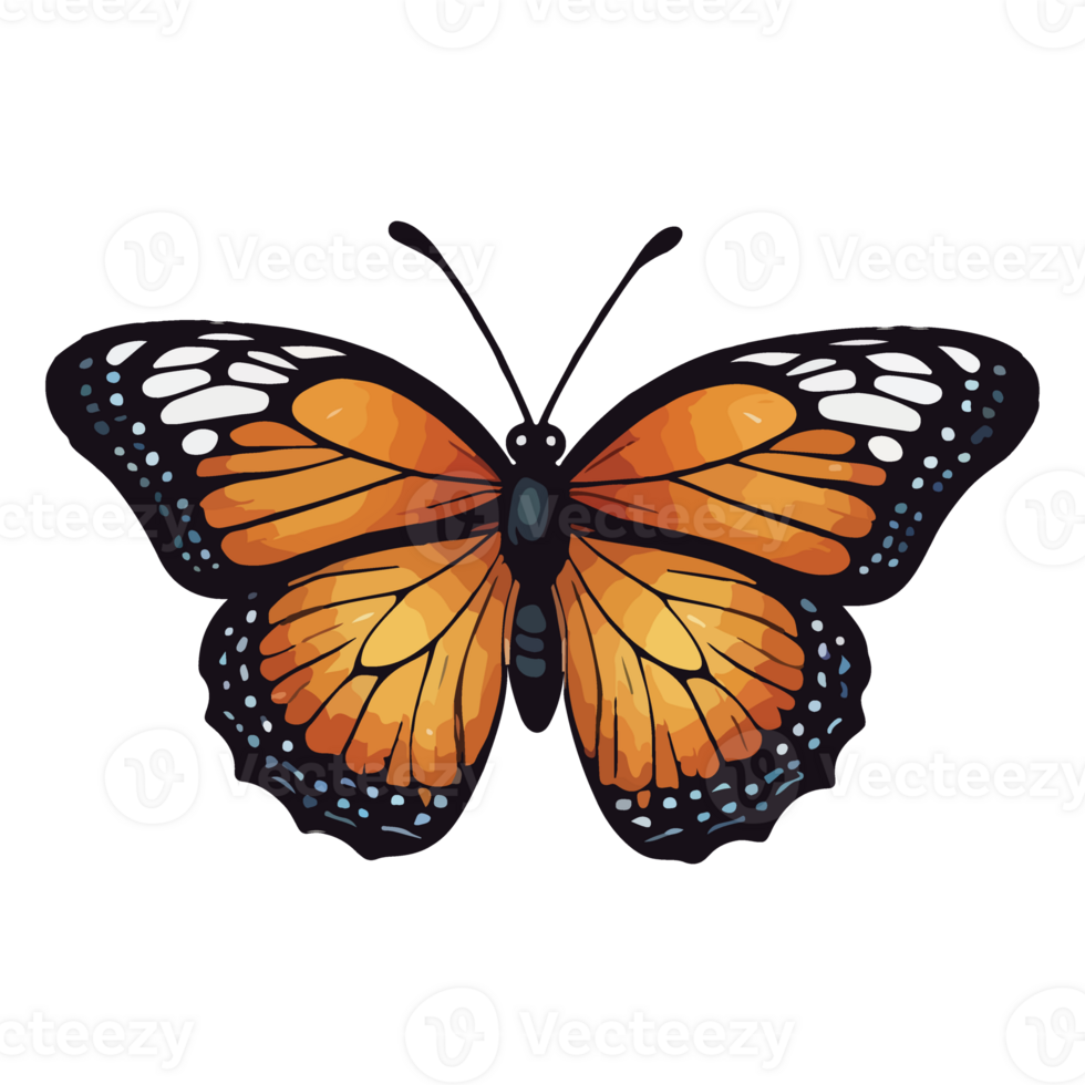 Butterfly animated illustration design images png
