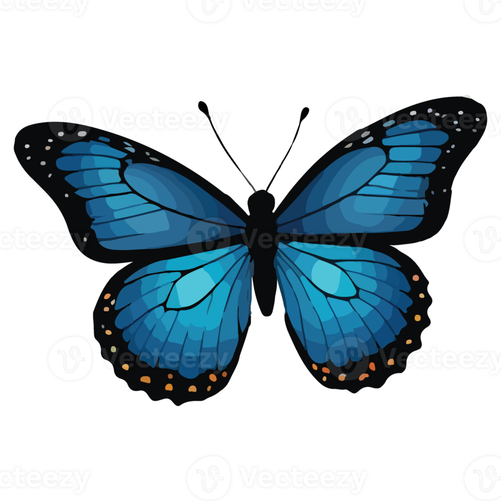 Butterfly animated illustration design images png