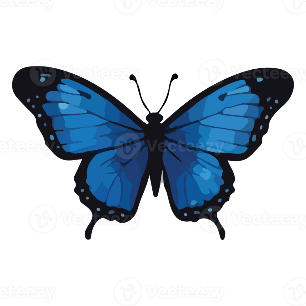 Butterfly animated illustration design images png