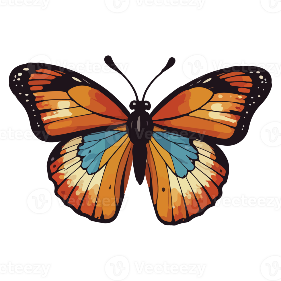 Butterfly animated illustration design images png