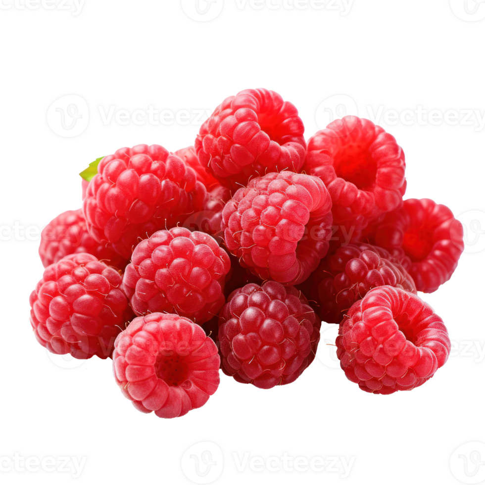 Fresh Raspberries in a Pile on Isolated Background. png
