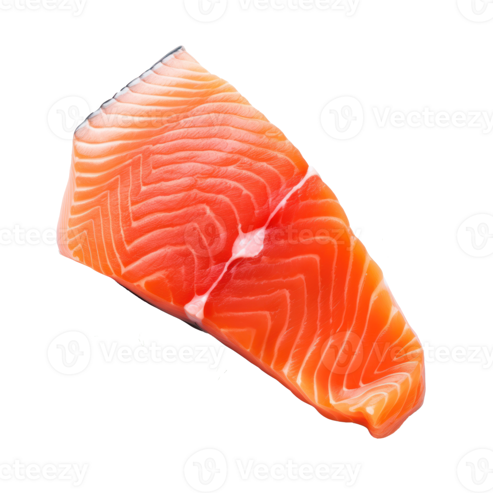 Fresh Raw Salmon Fillet with Herbs. Salmon Fillet with Dill on Isolated Background. png