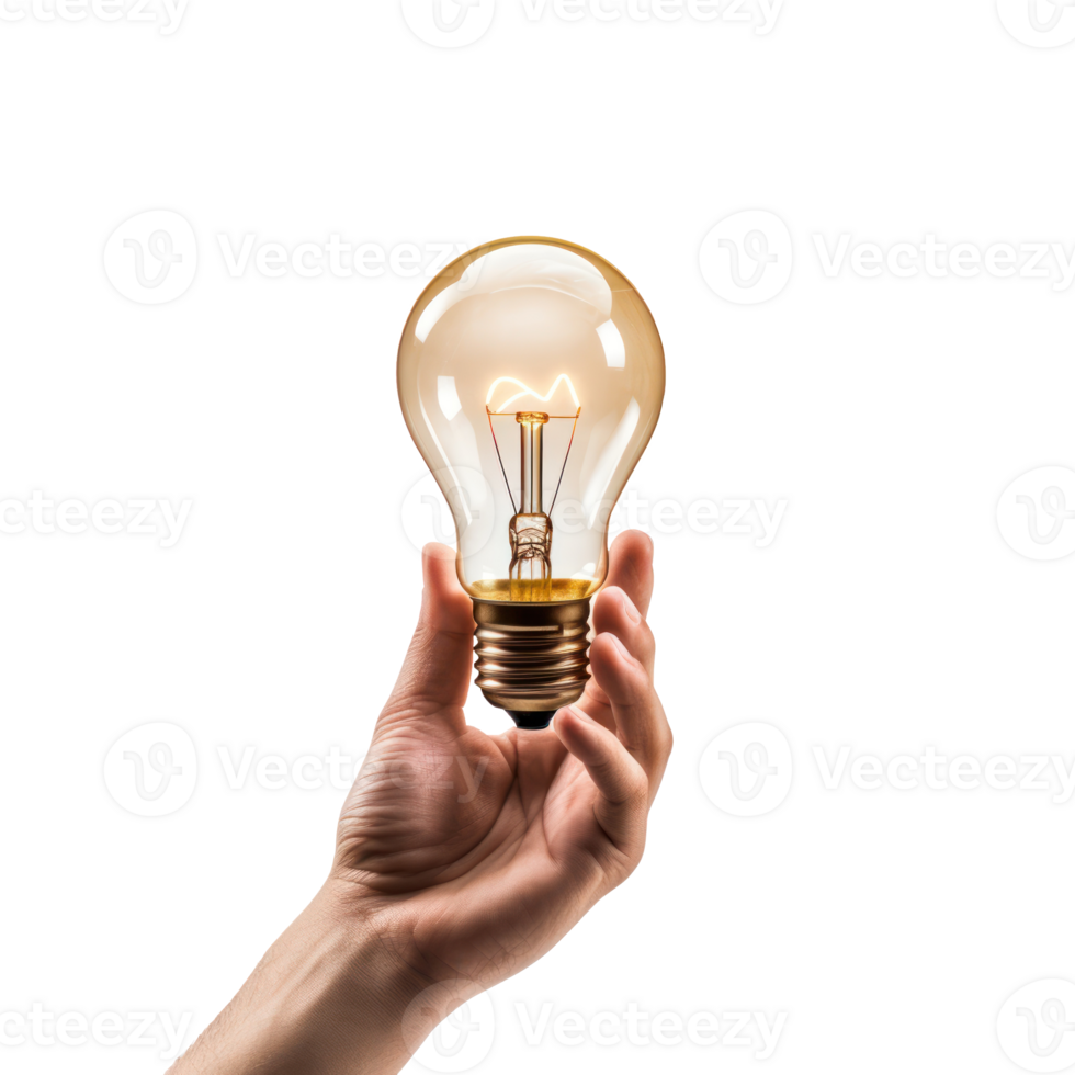 Hand Holding Lightbulb on Isolated Background. Edison Yellow Light Bulb. Innovation Concept. png