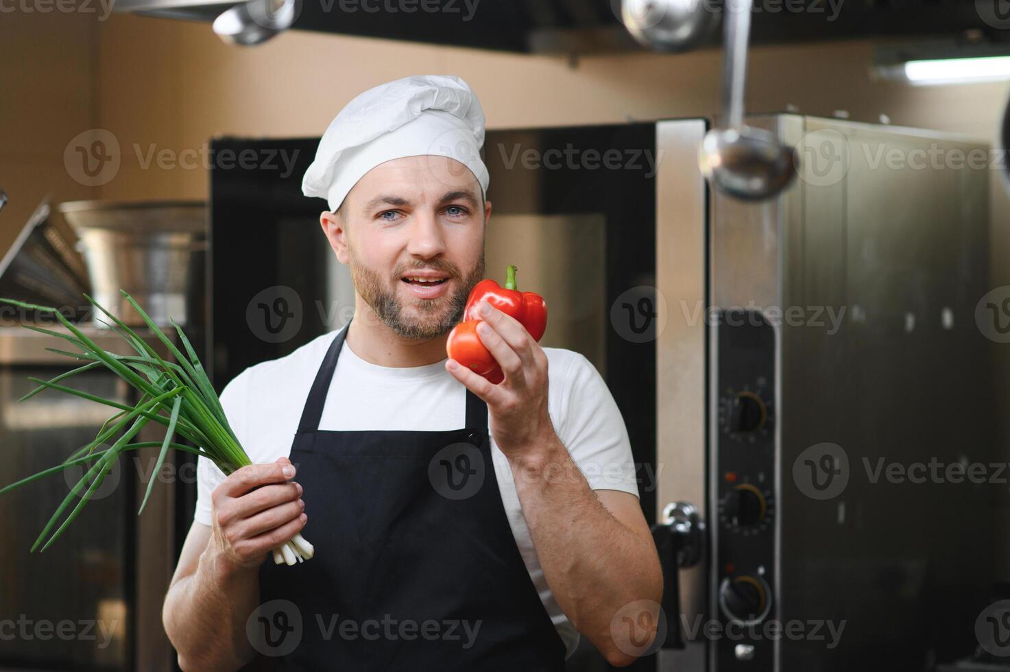 Portrait of a smiling male chef with cooked food standing in the kitchen photo