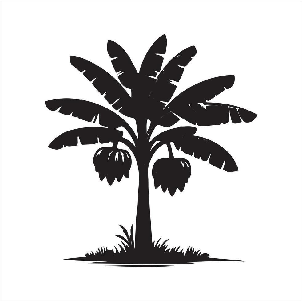 banana tree silhouette illustration with White Background vector