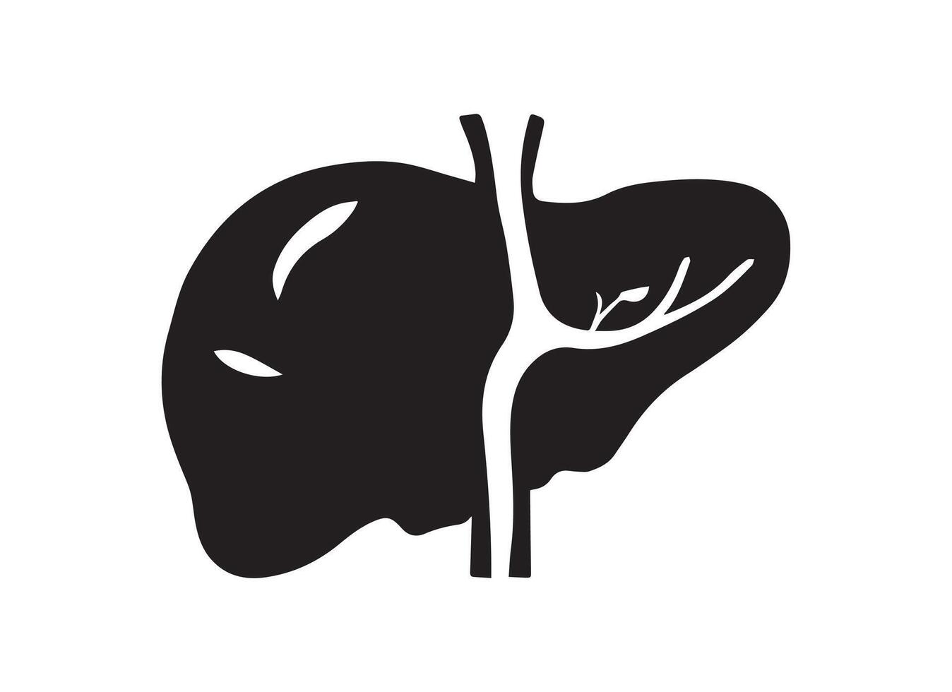 Minimal silhouette of a liver, clipart, black backdrop, and white silhouette vector