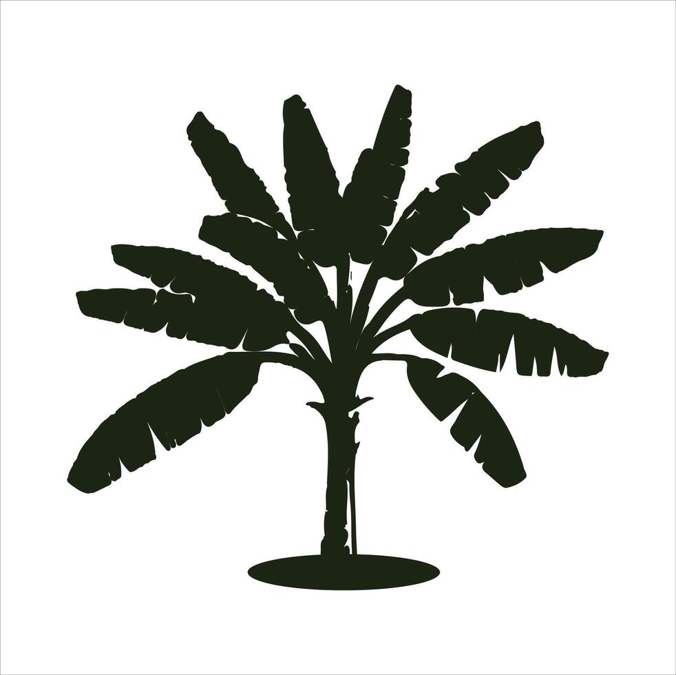 banana tree silhouette illustration with White Background vector