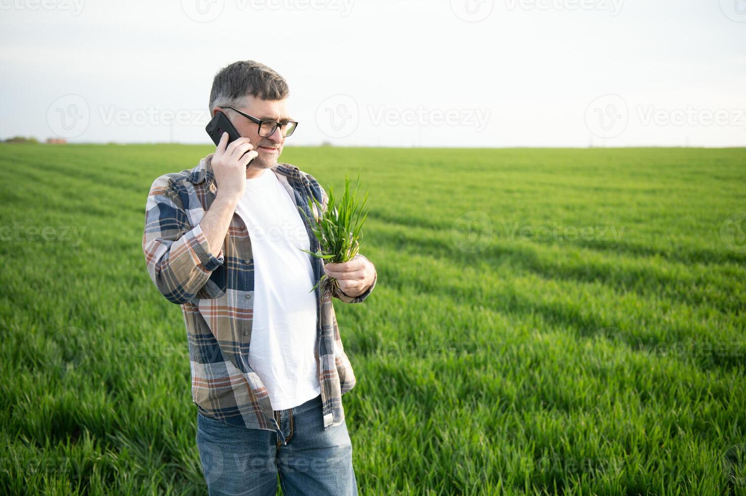 Portrait of senior farmer standing in green wheat field. photo