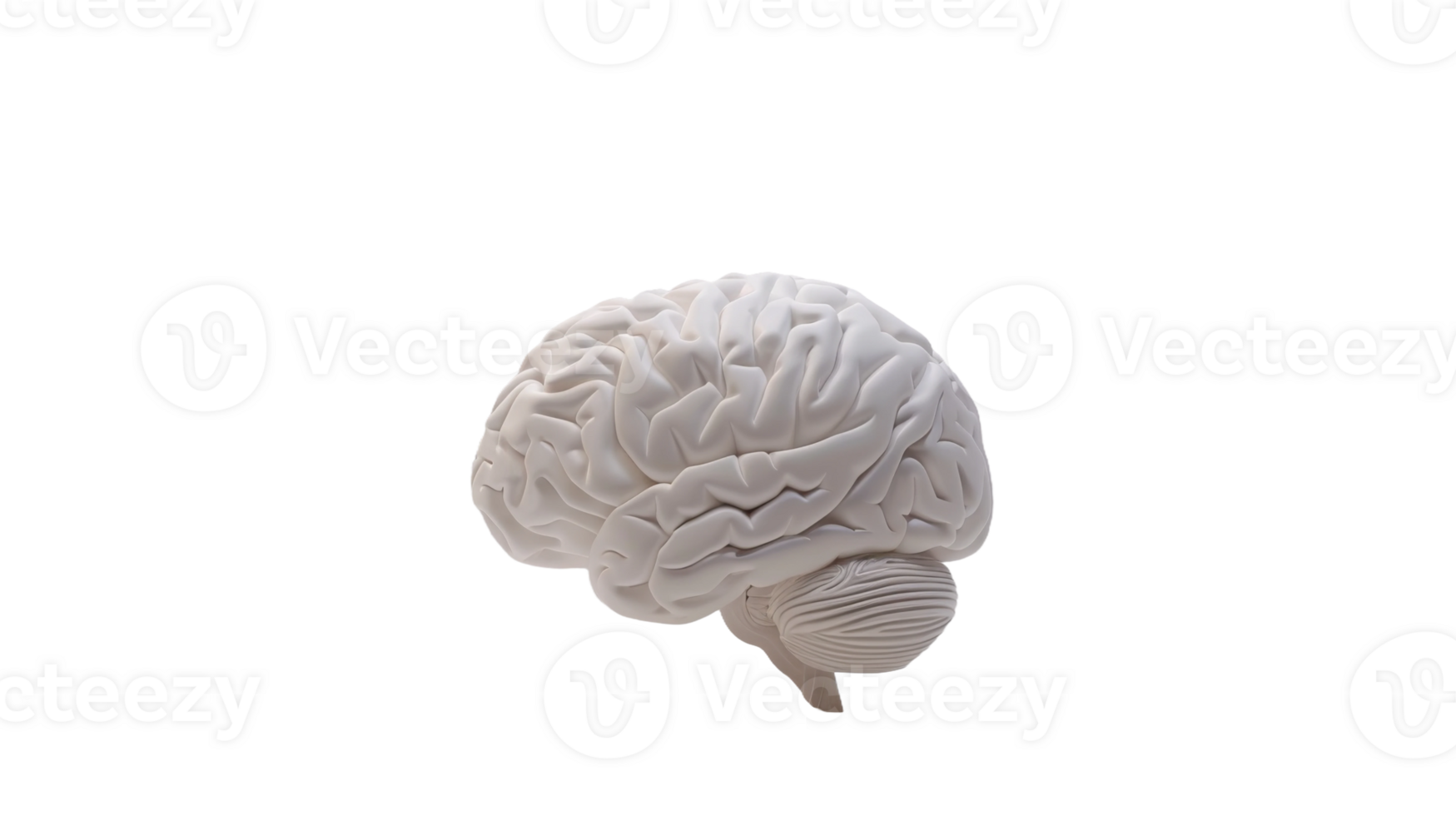 Minimalist brain on the transparent background, Format png