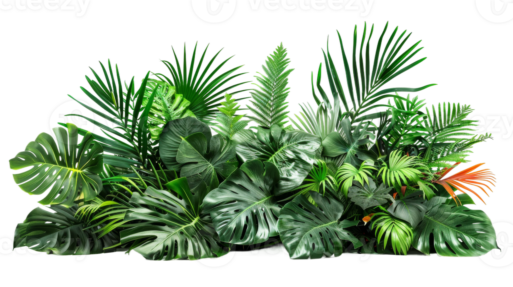 Tropical plant bush used as decor on the transparent background, Format png