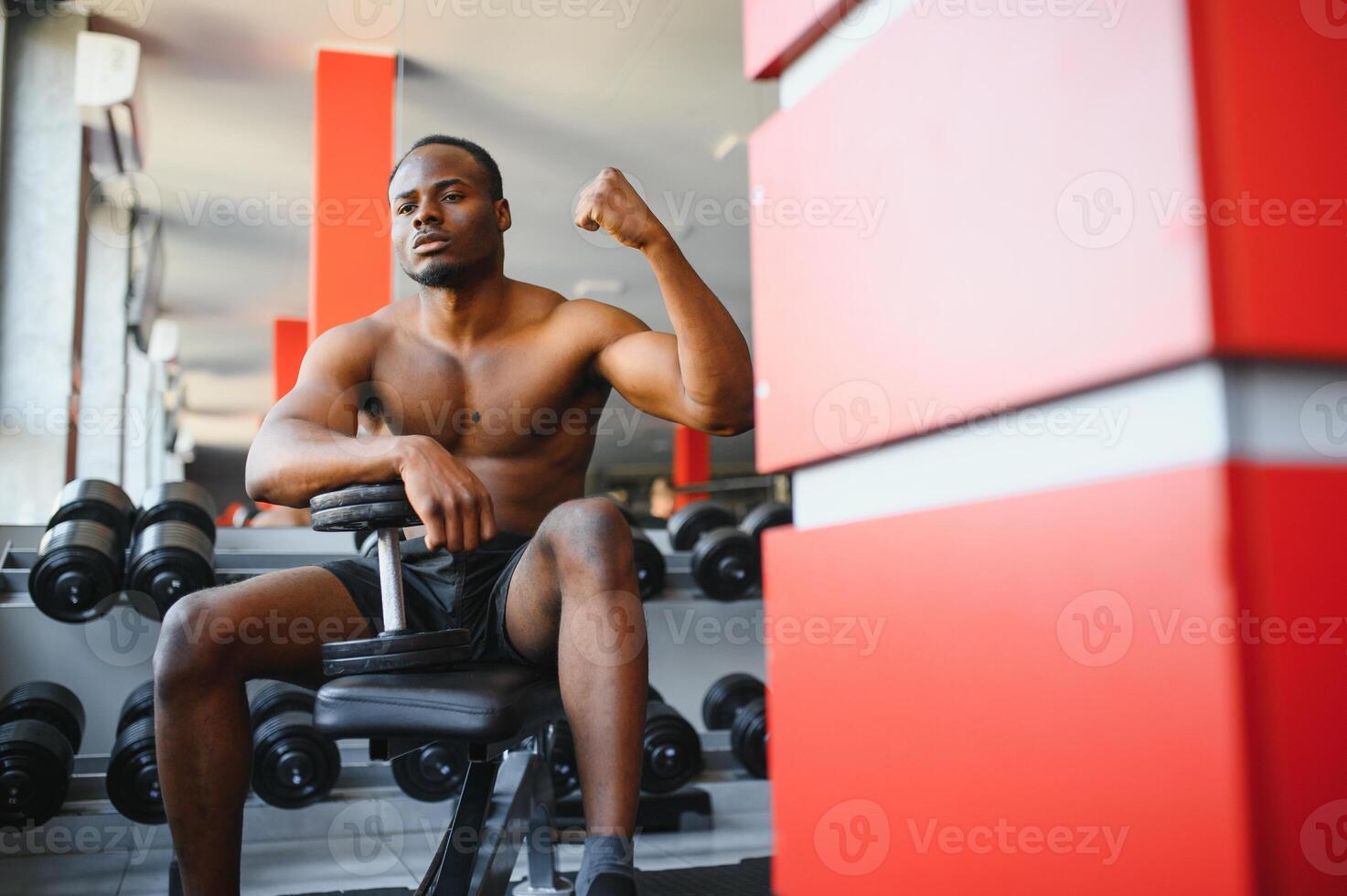 Handsome african american bodybuilder making work out with barbells at gym, copy space. Hot black guy exercising with two dumbbells, working on his muscular biceps photo