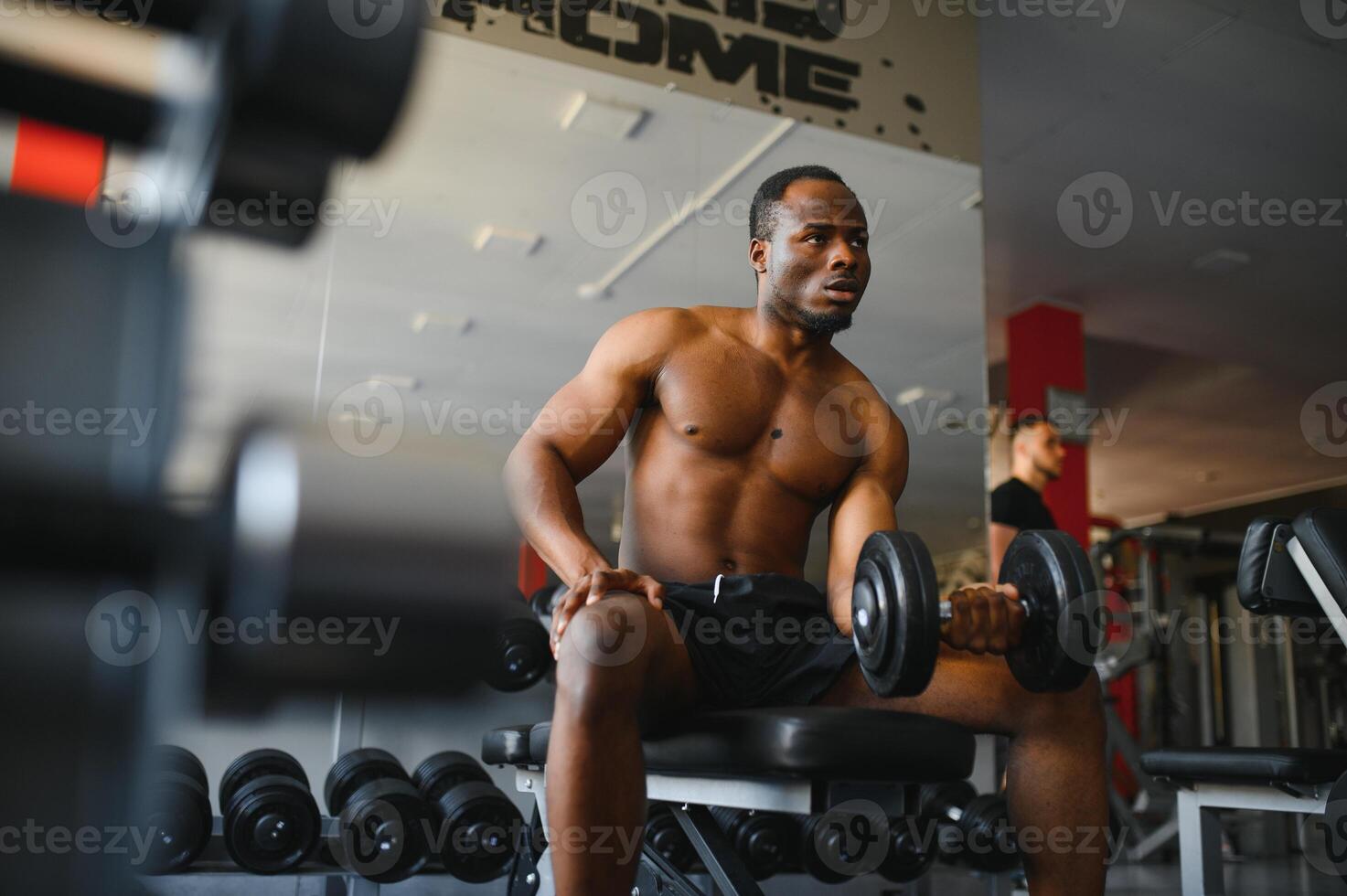 Handsome african american bodybuilder making work out with barbells at gym, copy space. Hot black guy exercising with two dumbbells, working on his muscular biceps photo