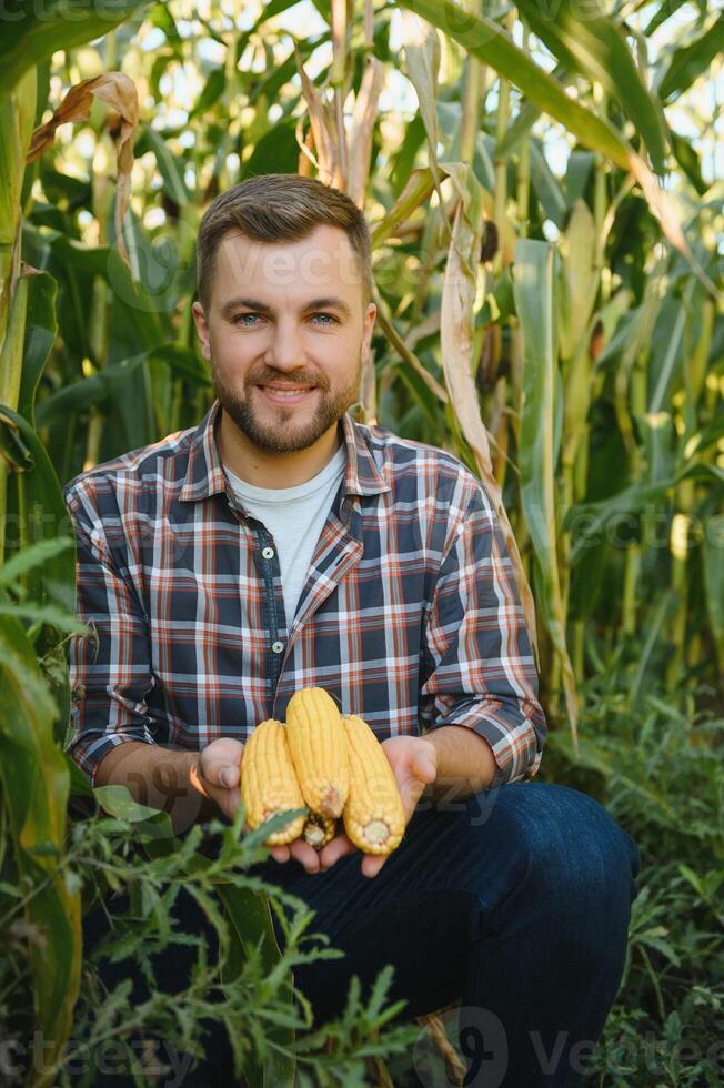 Farmer checking on corn crops photo
