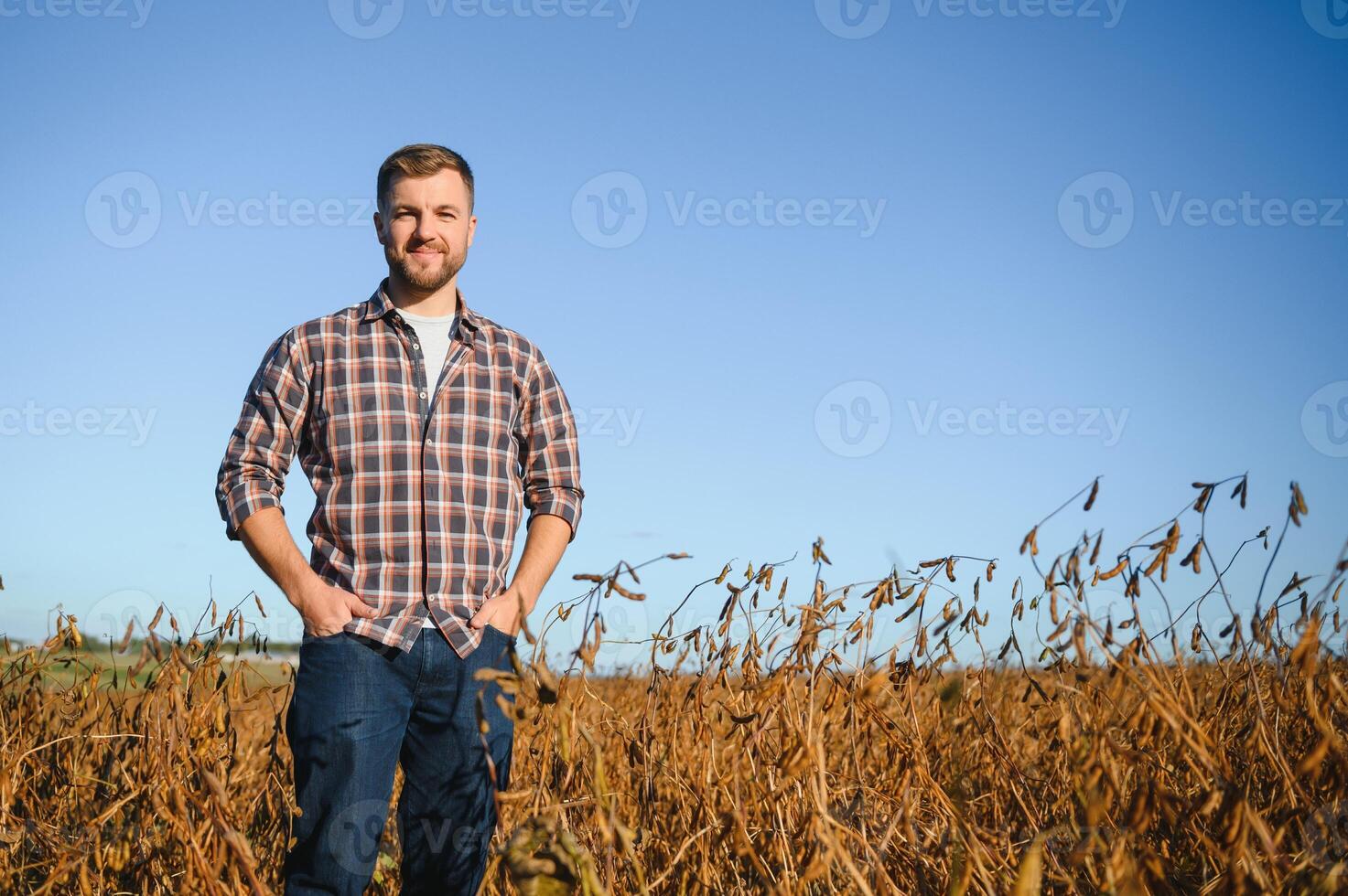 farmer agronomist in soybean field checking crops before harvest. Organic food production and cultivation. photo
