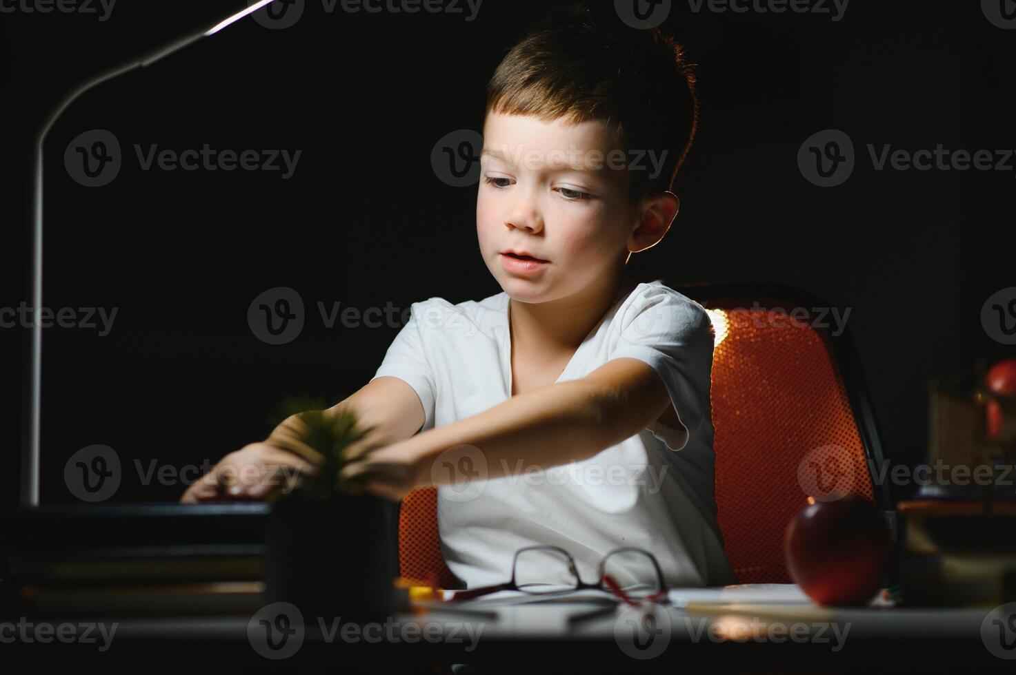 boy doing homework at home in evening photo