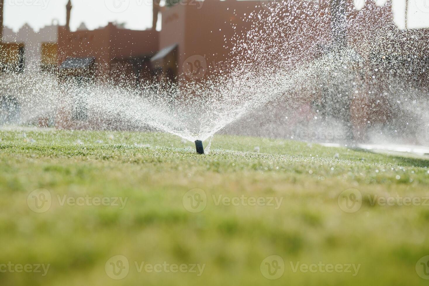 Modern device of irrigation garden. Irrigation system - technique of watering in the garden. Lawn sprinkler spraying water over green grass. photo