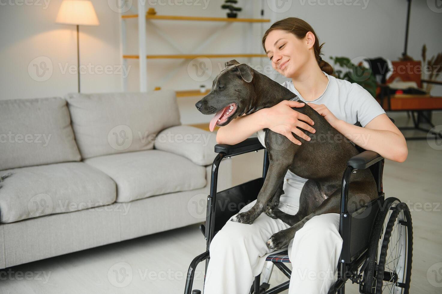 Young woman in wheelchair with service dog at home photo