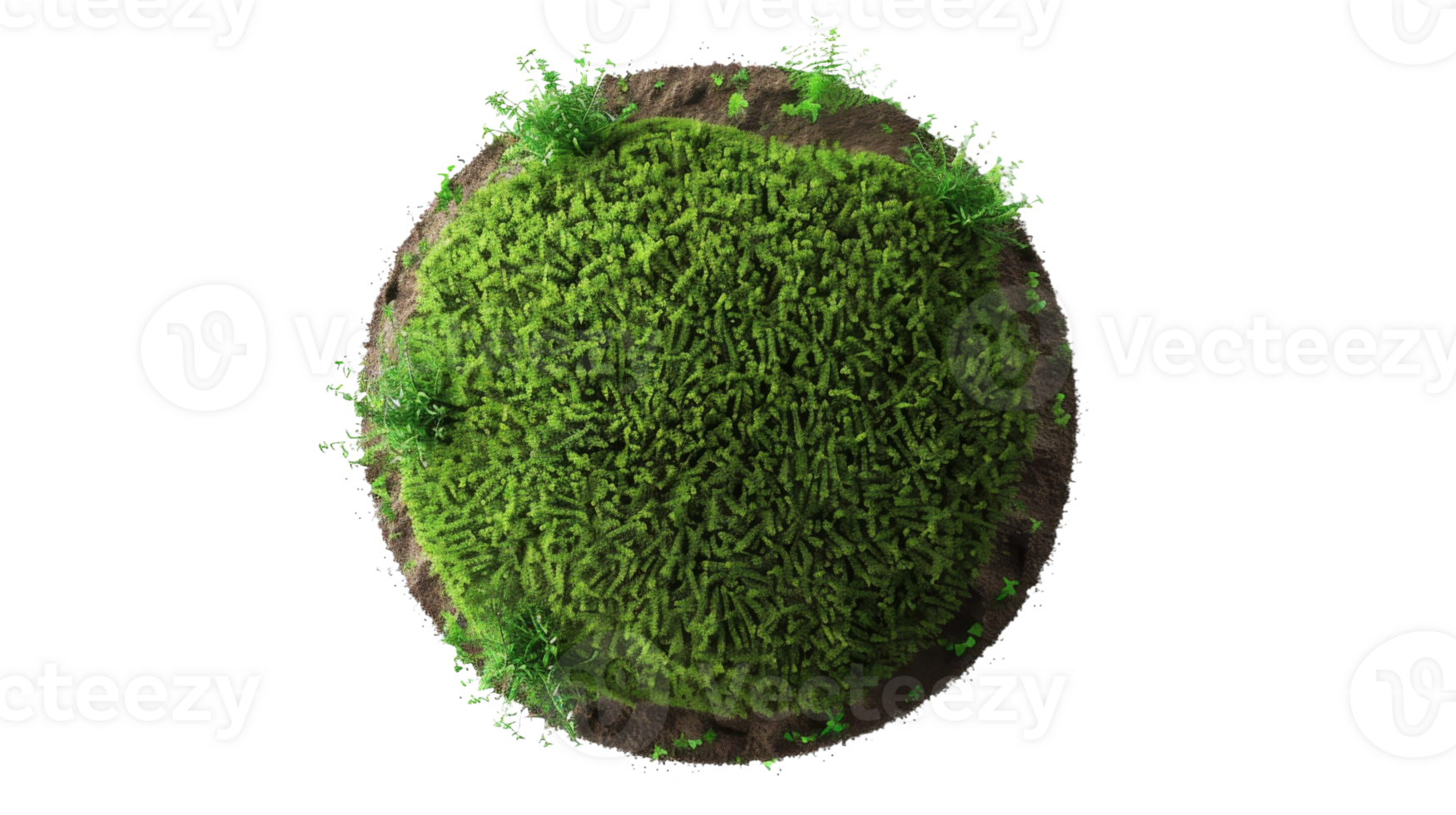 A circular terrain of green grass and earth on the transparent background, Format png