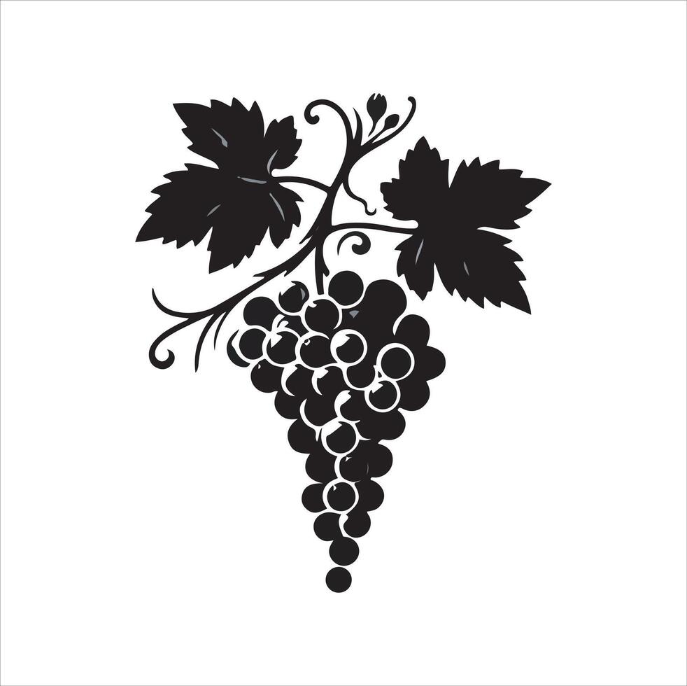 Grapes fruit silhouette illustration with White Background vector