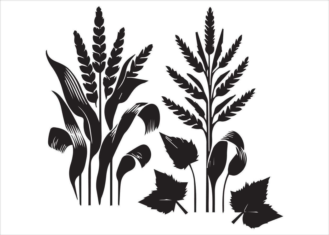 Corn stalks and barley grain are combined in a multipurpose cornstalk silhouette set. vector