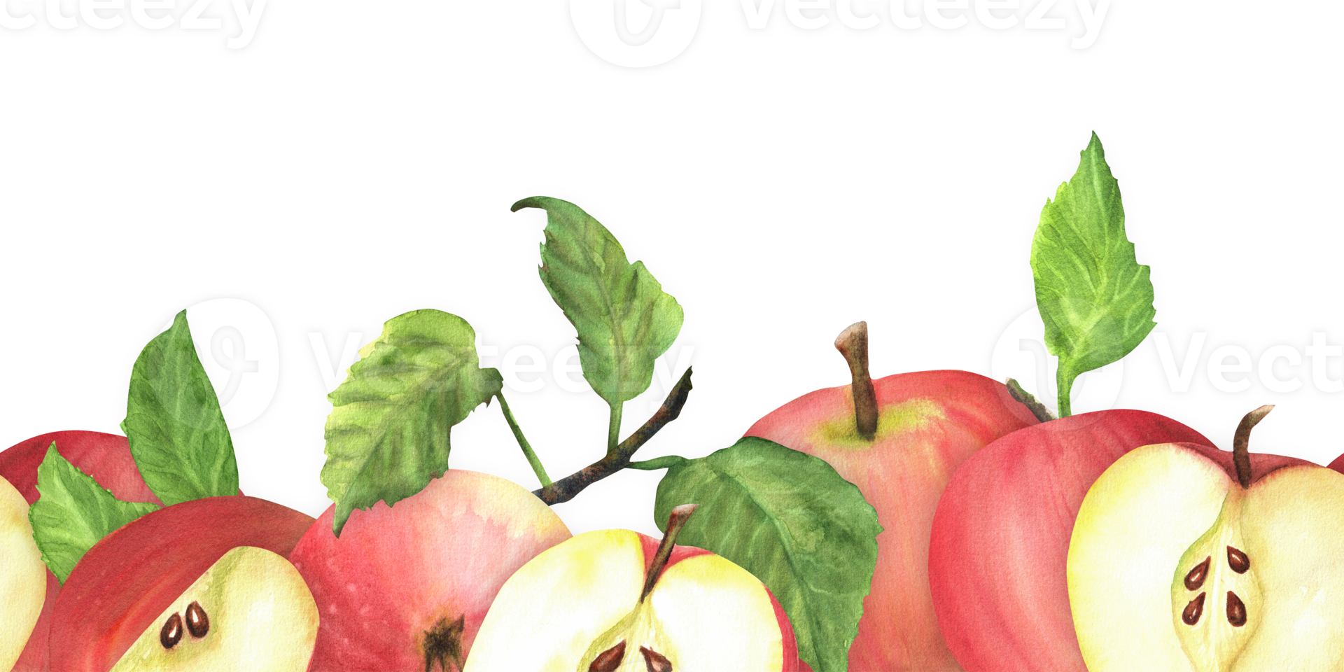 Seamless bottom border with fresh red apples, slices and green leaves. Hand-drawn watercolor illustration. For postcards, stationary design. Garden fruit border. png