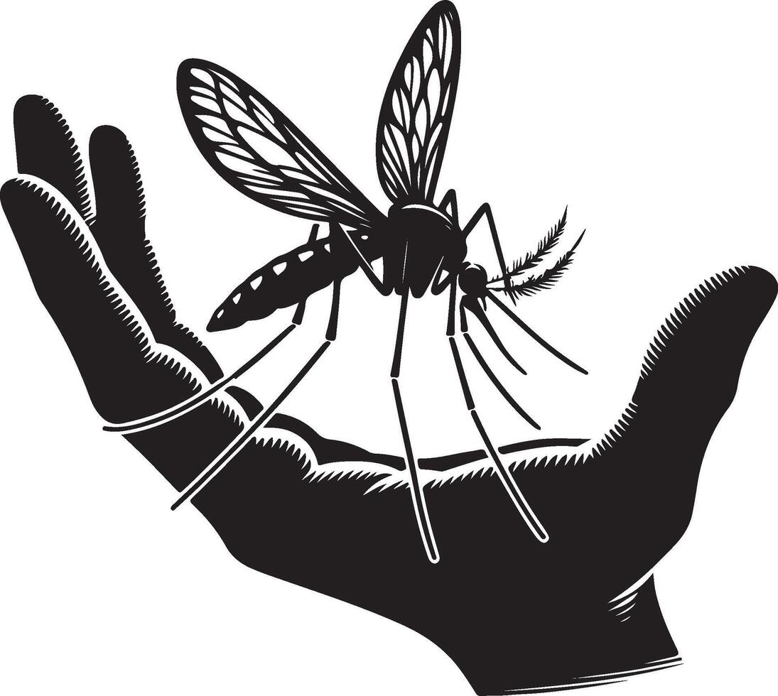 Silhouette of mosquito sitting on human hand on white background. Symbol of insect who annoying people. Danger of malaria and dengue disease vector