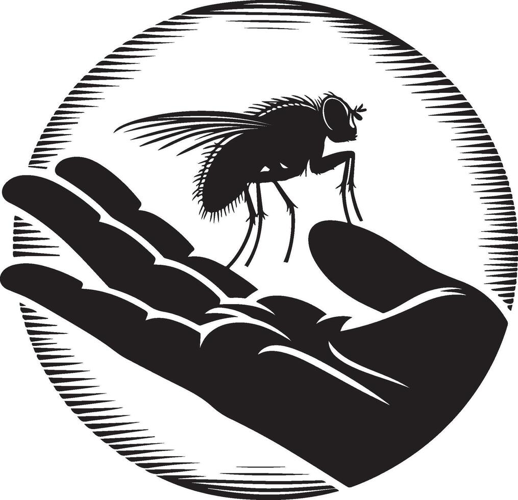 Silhouette of fly sitting on human hand on white background. Symbol of insect who annoying people vector