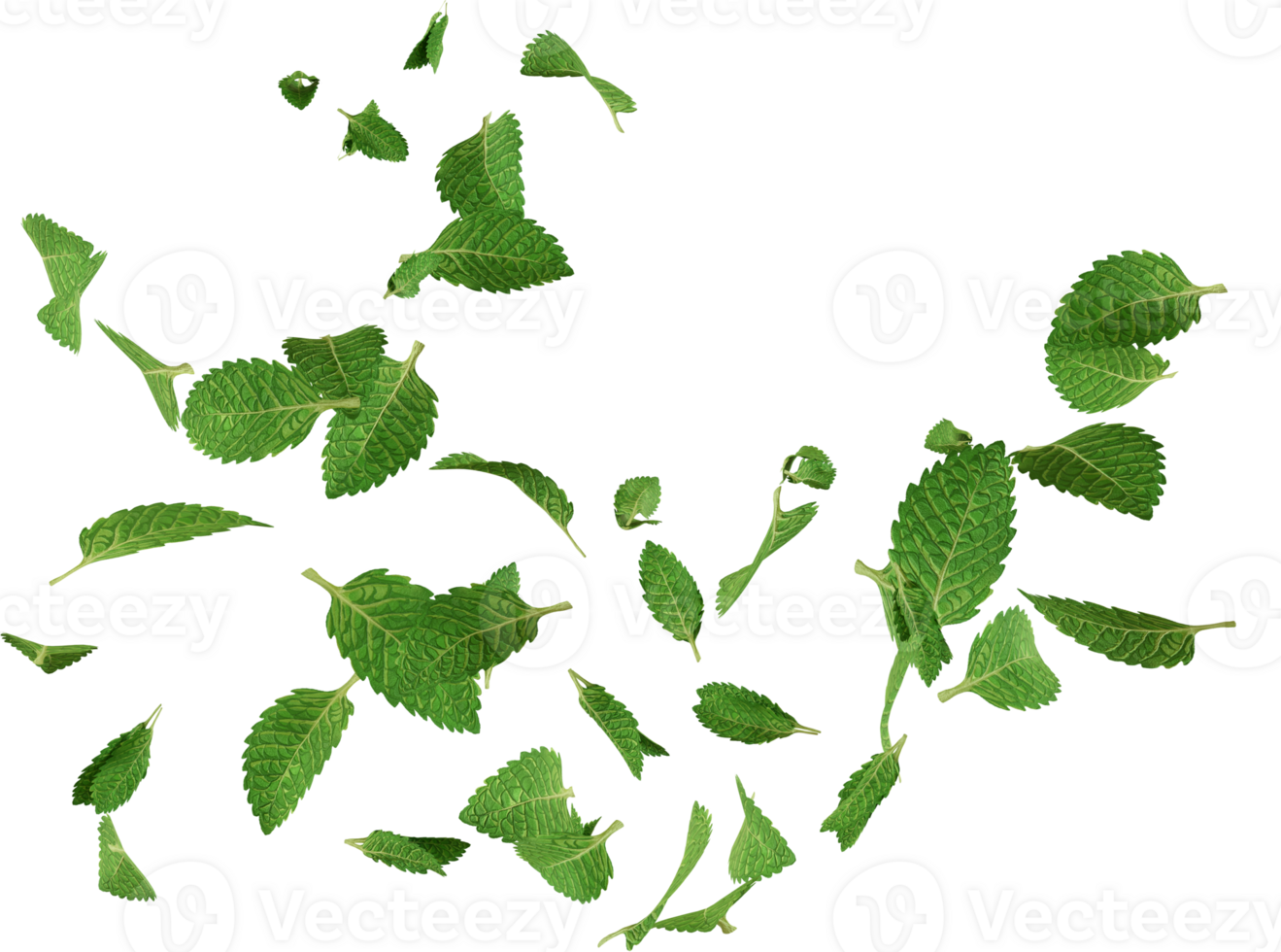 floating mint leaves png