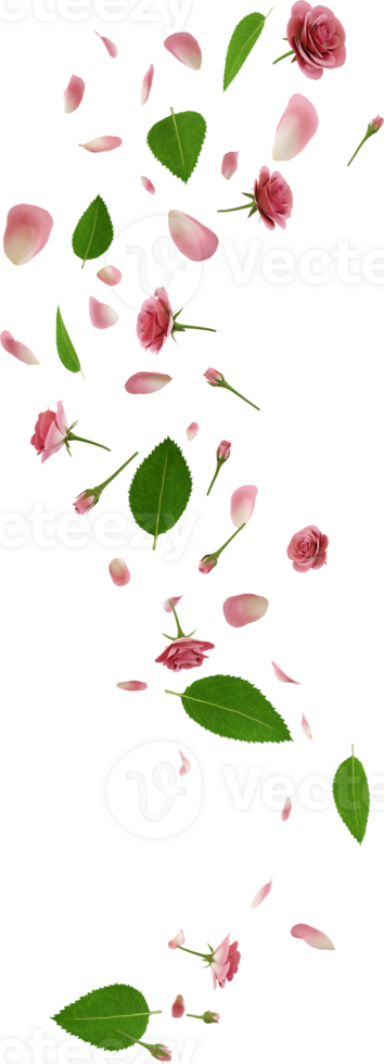 floating pink rose flower png