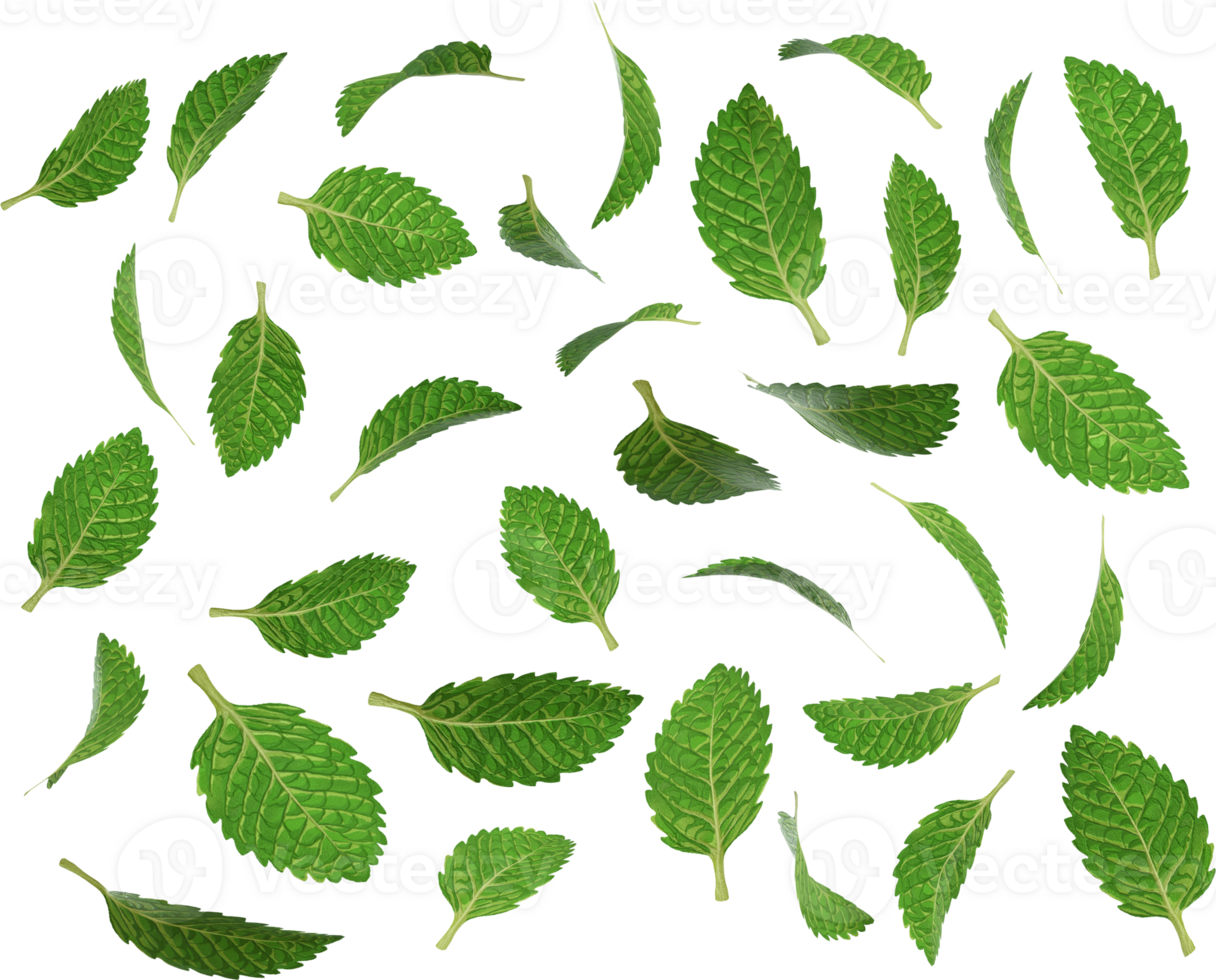falling green peppermint png