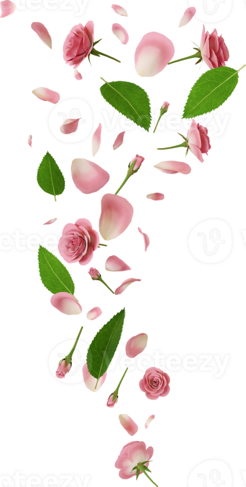 flying pink rose petal png