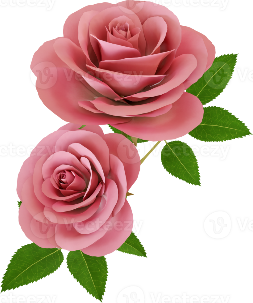 Pink Roses with Green Leaves png