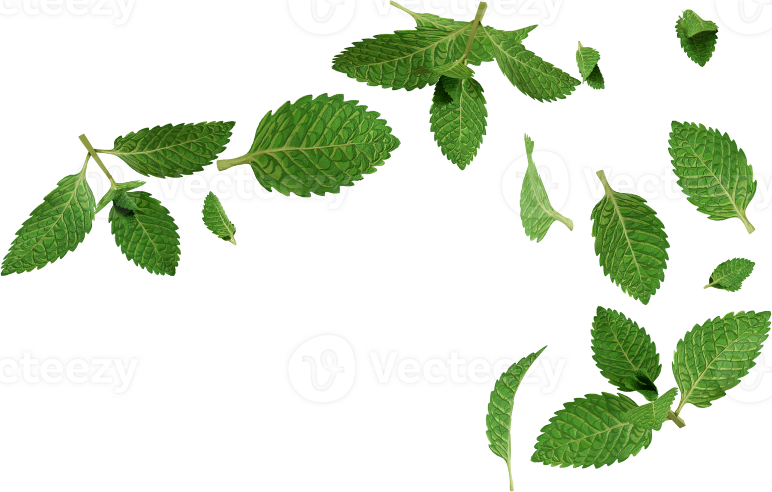 flying mint leaves png