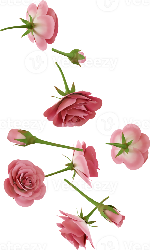 falling rose flower png