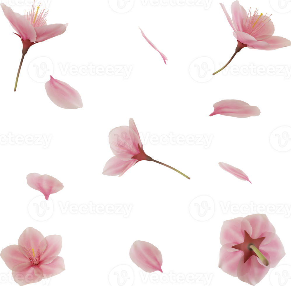 flying pink cherry blossom petal png