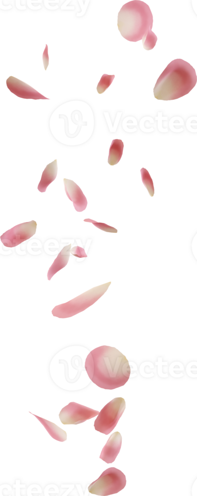 flying pink rose petal png