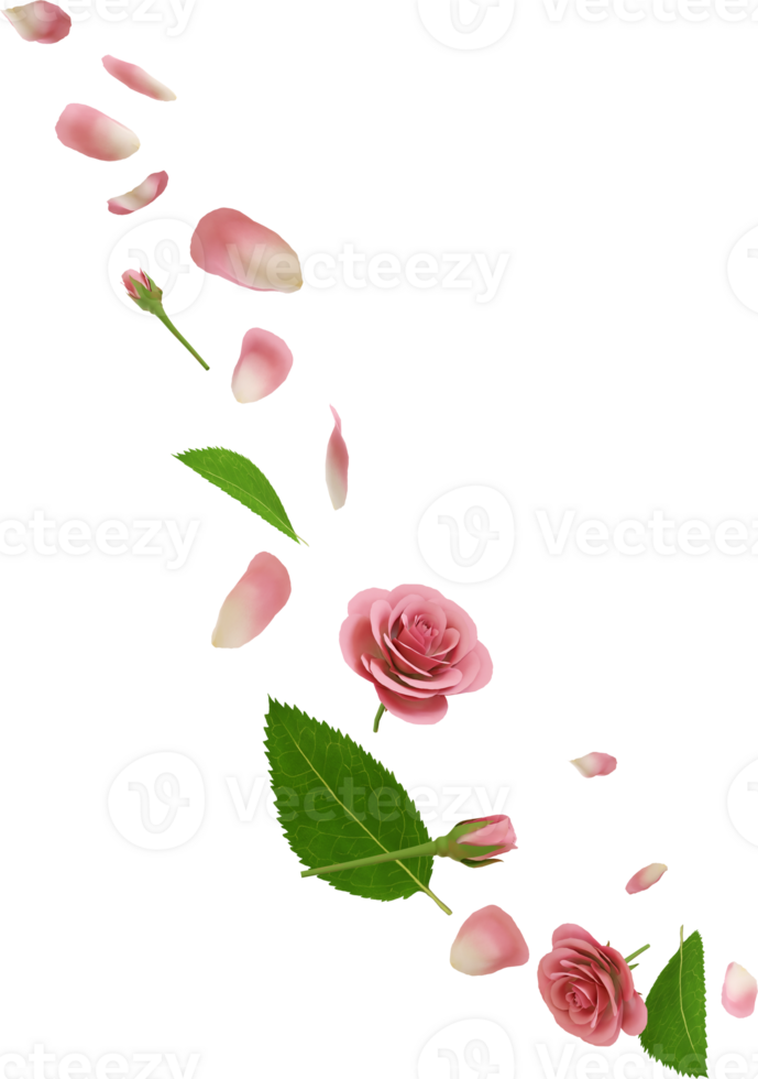 flying pink rose petal png