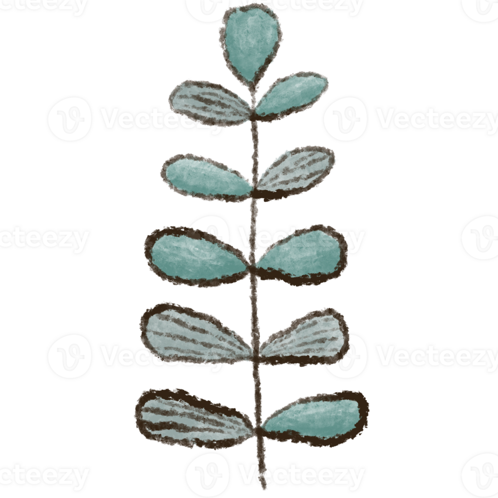 Leaf clipart elements are hand drawn and isolated. png