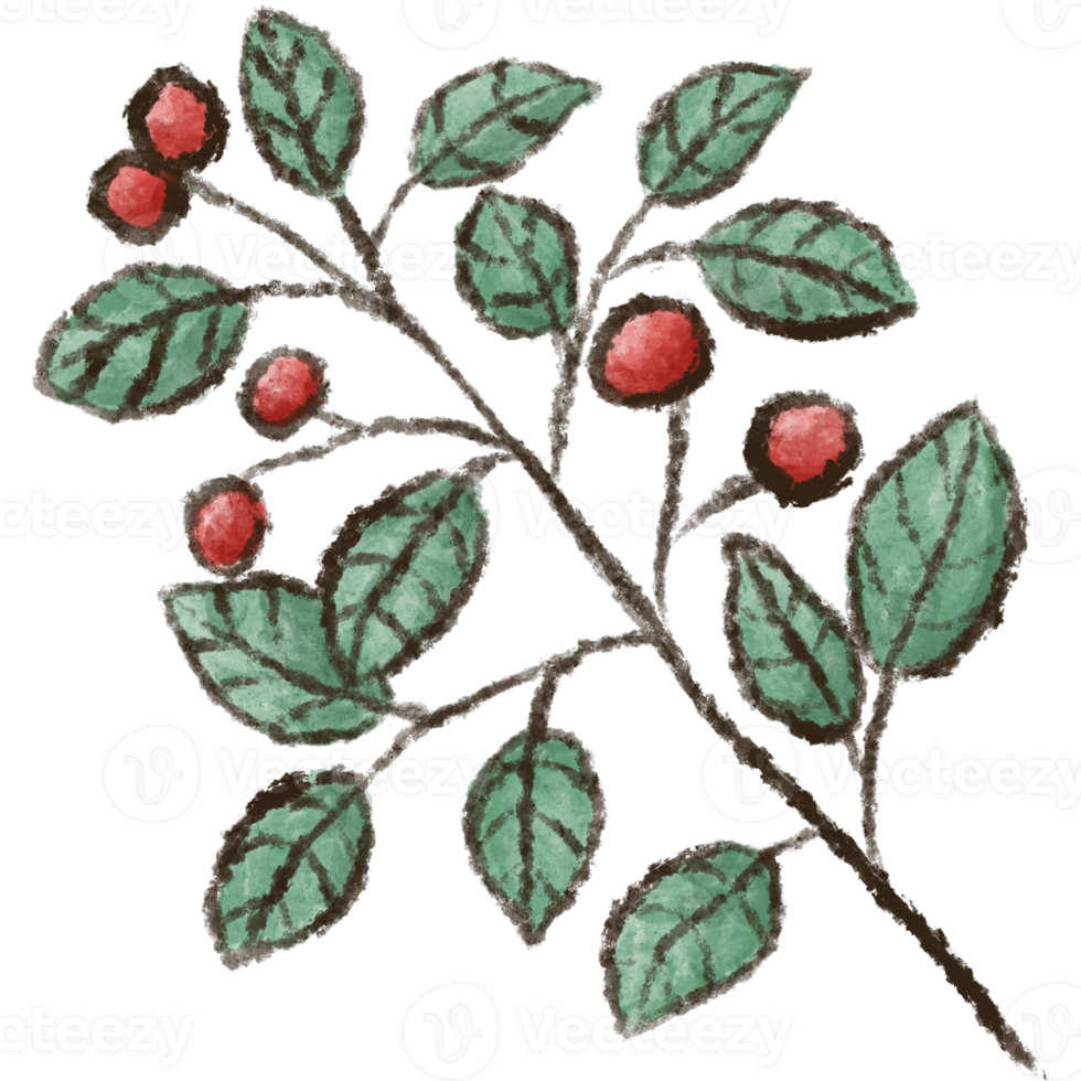 Leaf clipart elements are hand drawn and isolated. png