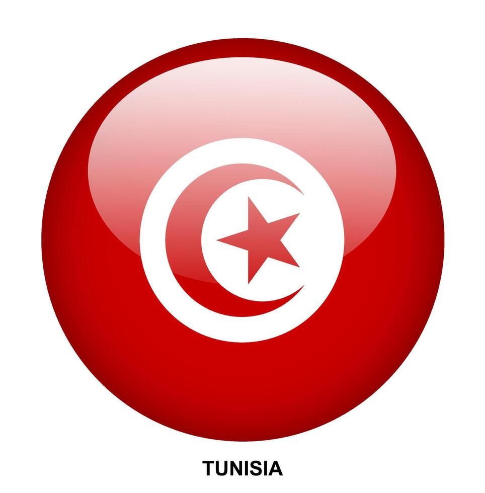TUNISIA flag button on white background vector