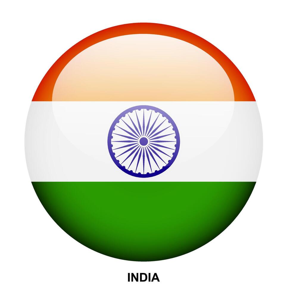 INDIA flag button on white background vector