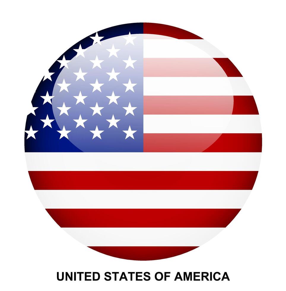 UNITED STATES OF AMERICA flag button on white background vector
