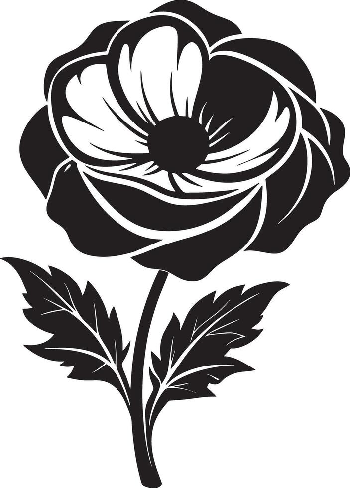 black and white poppy flower illustration vector