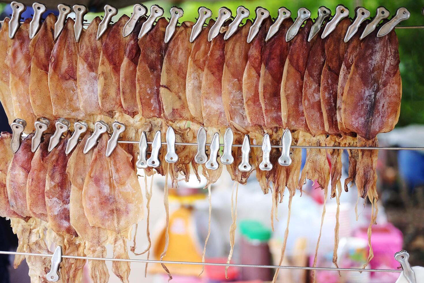 Grilled dried squids hanging on the rack show. Seafood on street food in Thailand photo