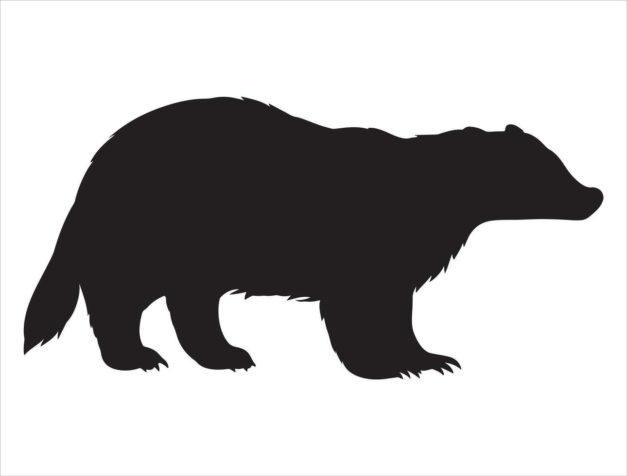 Badger silhouette on white background vector
