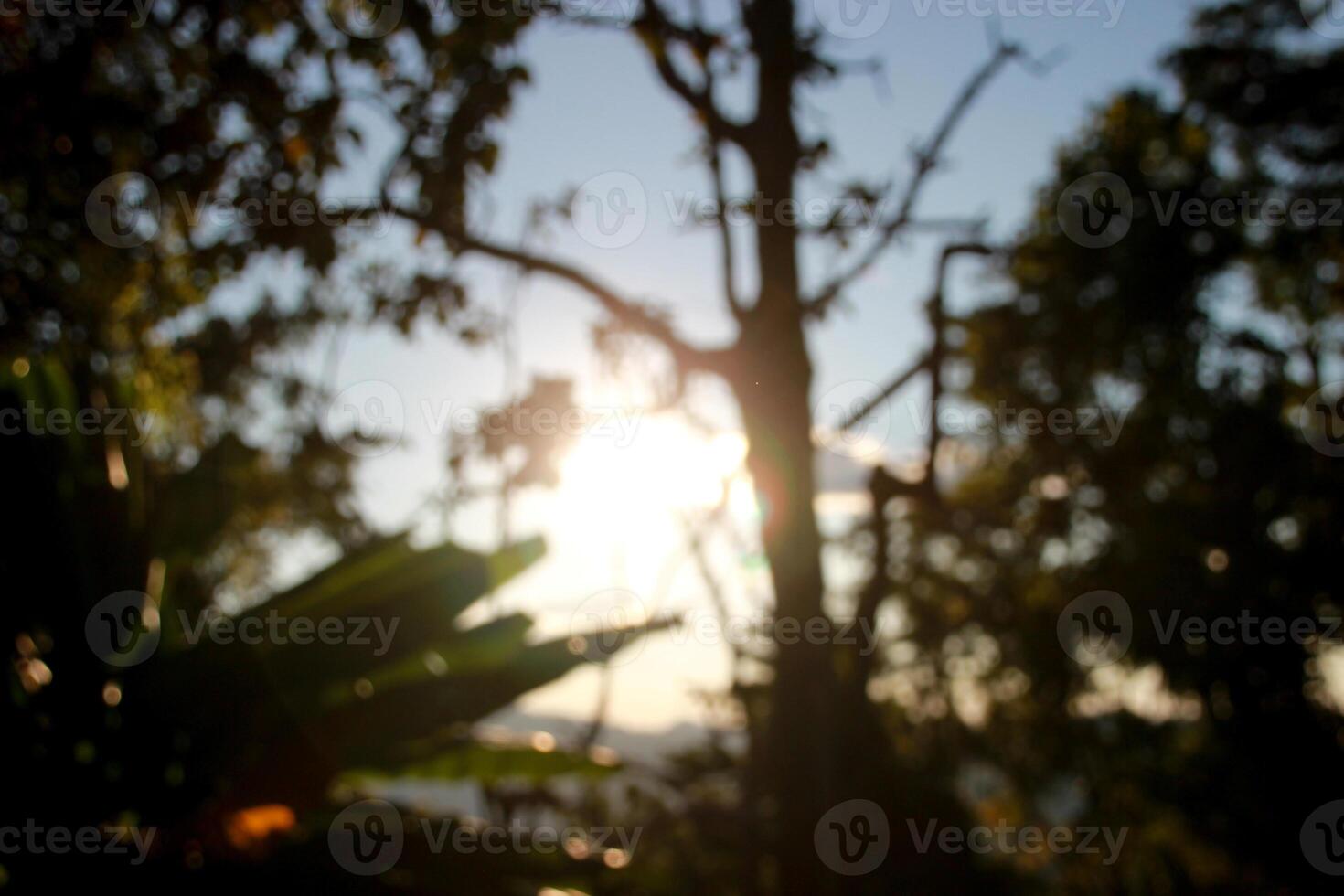 silhouette shadow of a tree leaf on the mountain hills with sunset and cloud sky background photo
